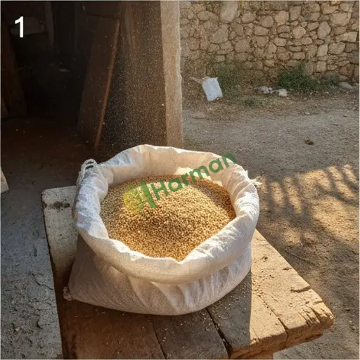 Elazığ Merkez susam alıyorum