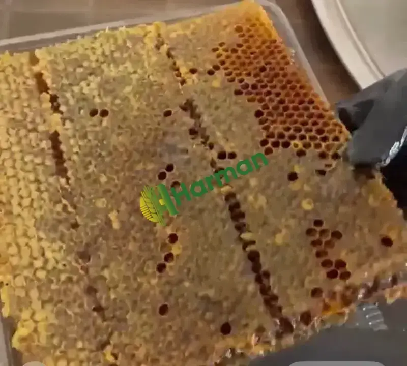Süzme petek Karakovan bal Tavşanlı Kütahya