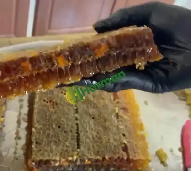 Süzme petek Karakovan bal Tavşanlı Kütahya