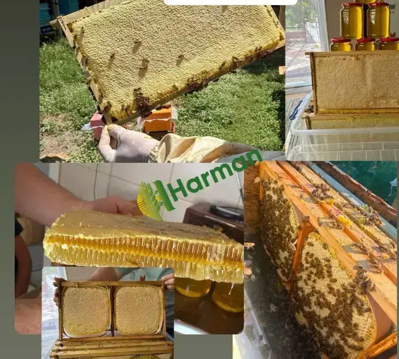 Süzme petek Karakovan bal Tavşanlı Kütahya