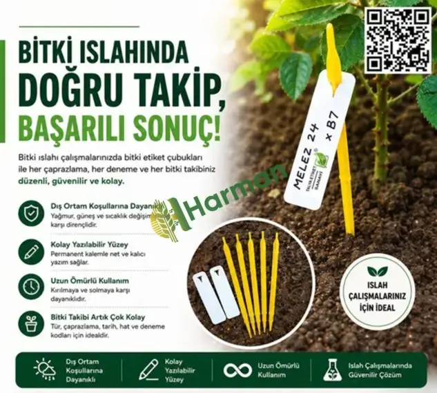 TALYA HAT ÇUBUĞU ( ETİKET ÇUBUĞU)