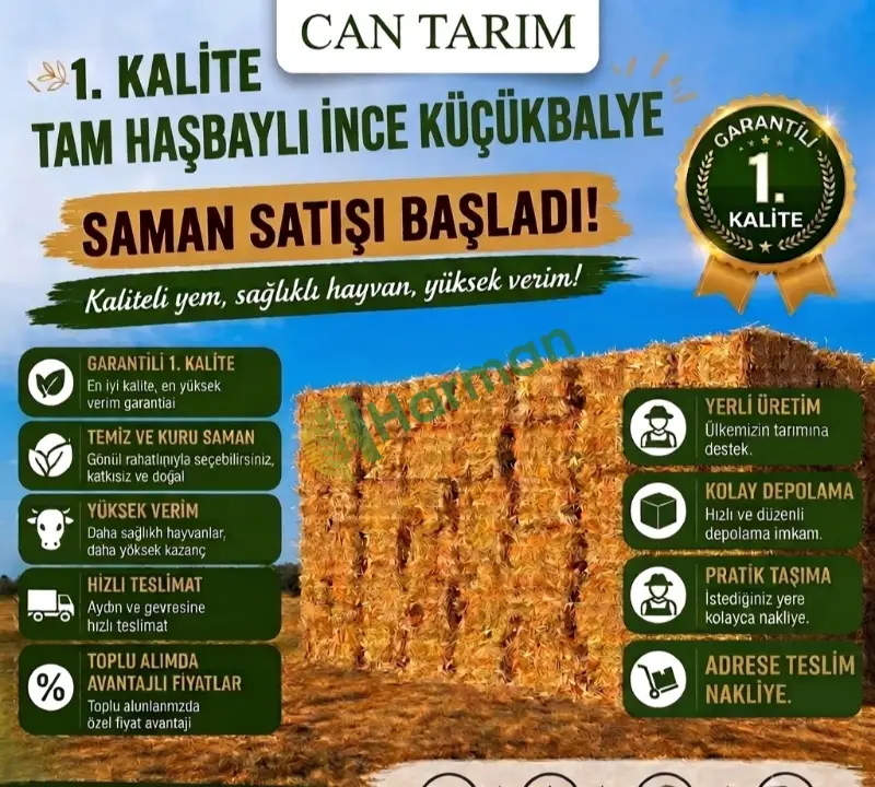 Tam hasbaylı ince küçük balye buğday samanı paket 130 tl