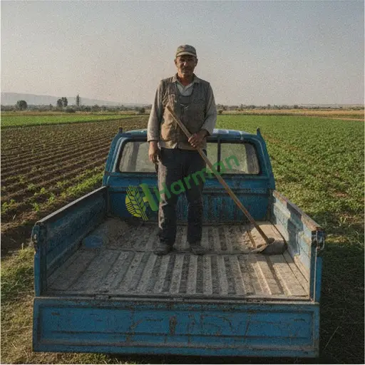 Tarım İşçisi İş Arıyor / Kırıkkale Bahşılı