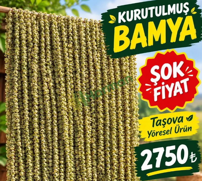 Taşova çiçek bamya