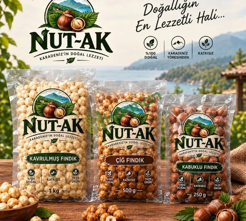 Taze Fındık