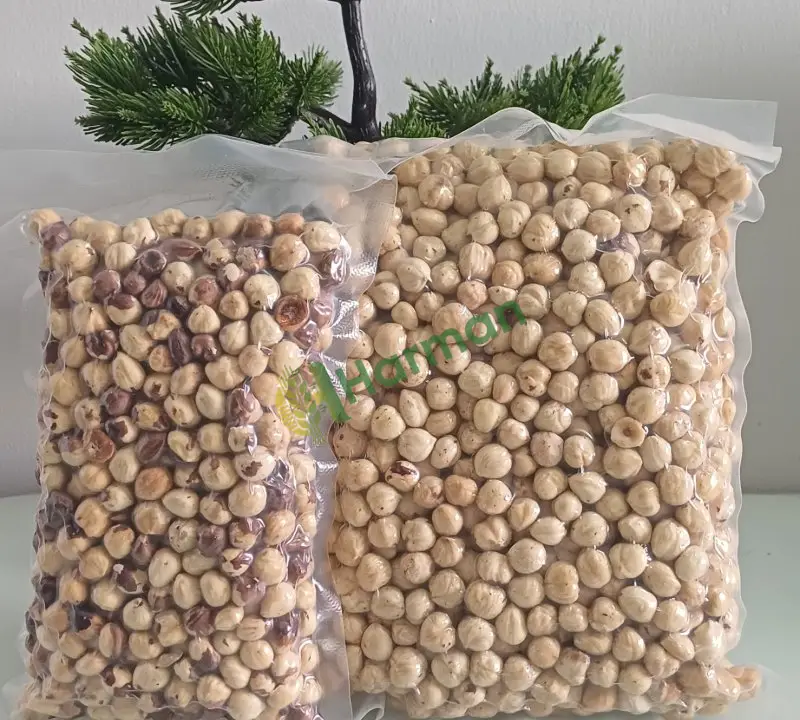 Taze Fındık