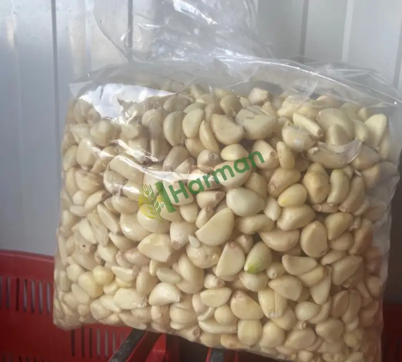 Taze soyulmuş sarımsak 🧄