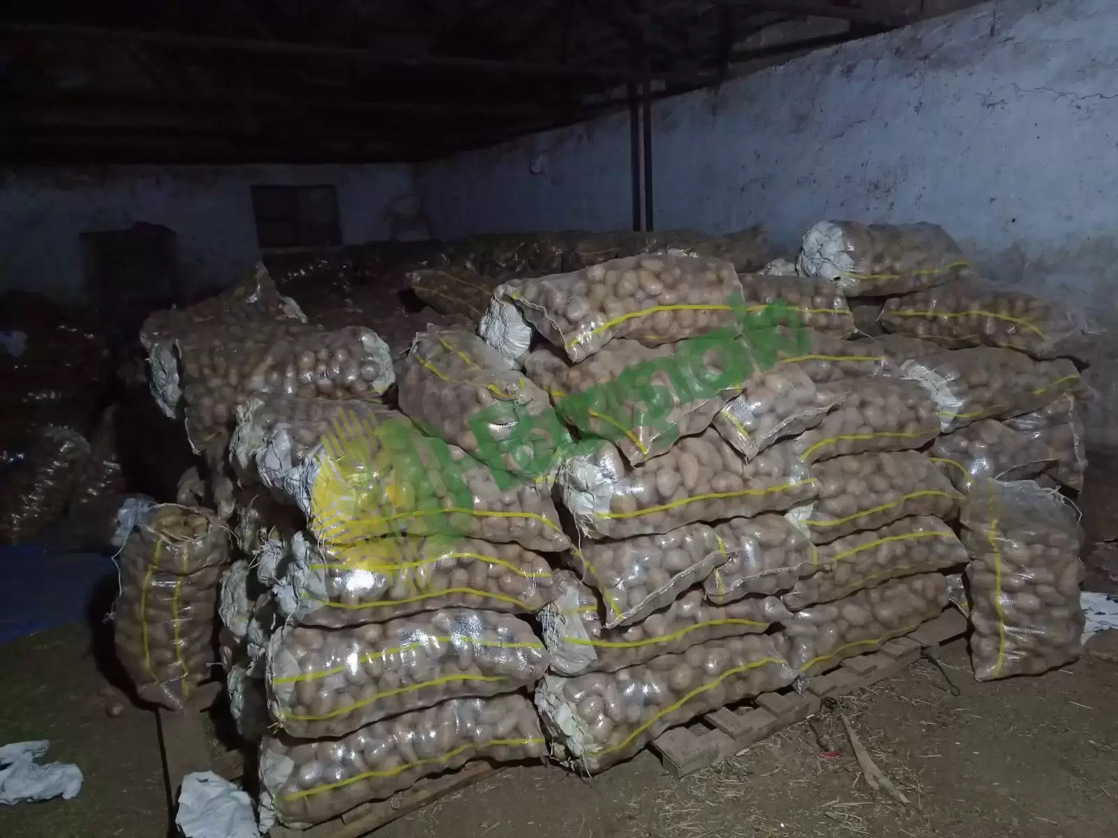 Taze ve Doğal Patates Satışı! 🥔