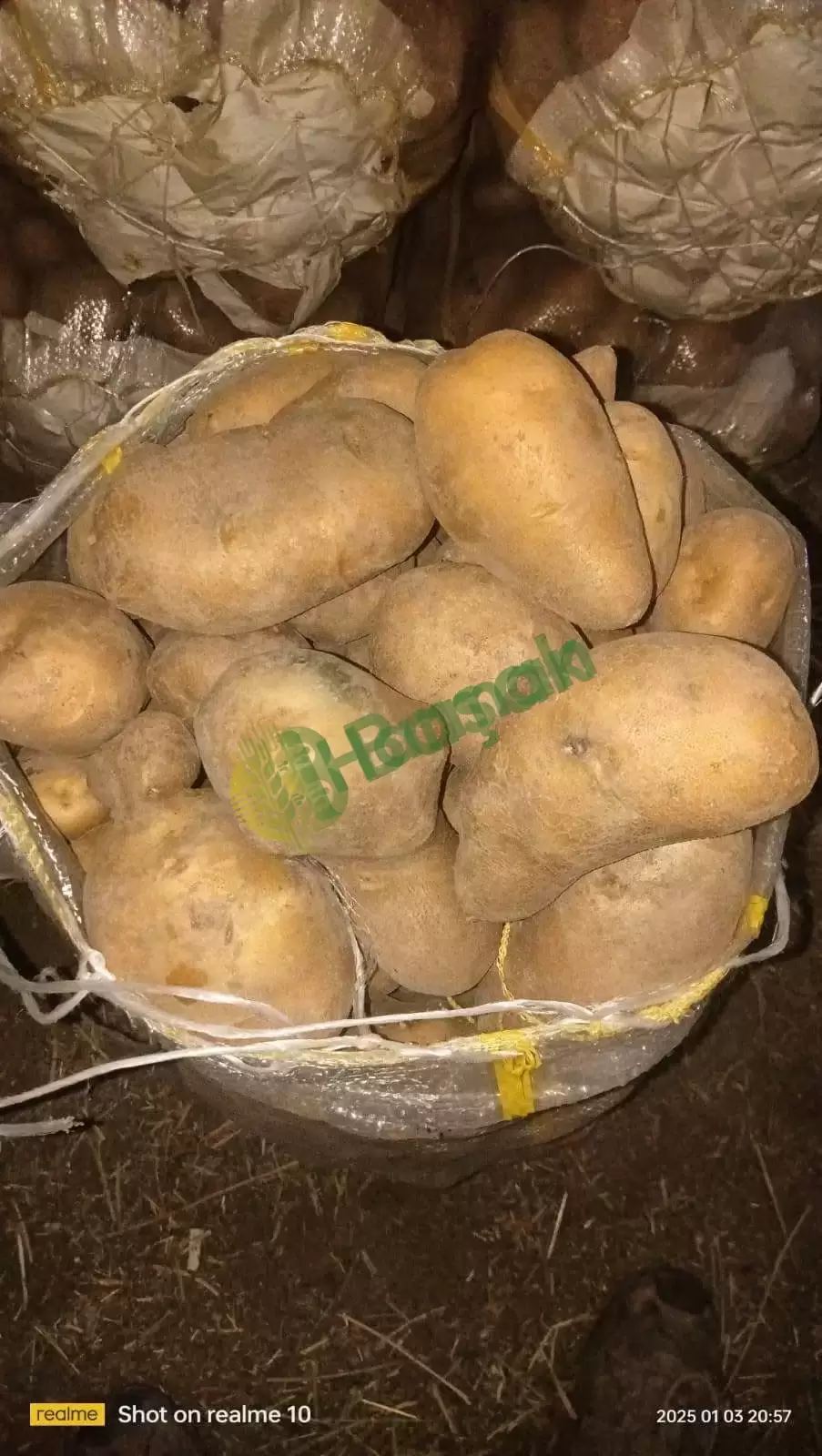 Taze ve Doğal Patates Satışı! 🥔