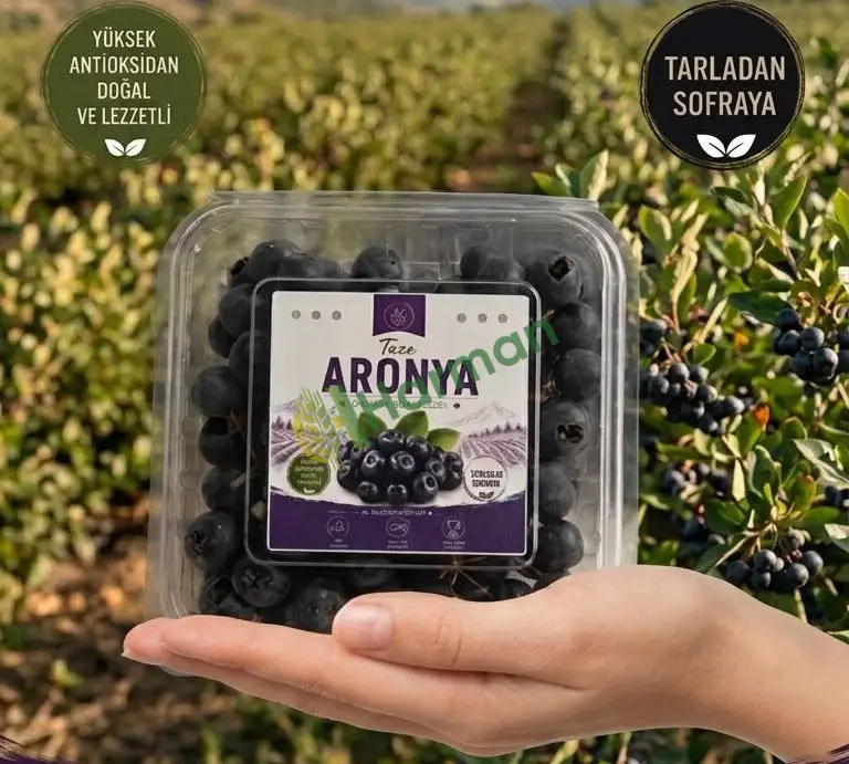 Taze Viking Aronya