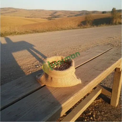 Tekirdağ Marmaraereğlisi'nde bambu tohumu uygun fiyata satılık