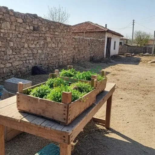 Artvin Yusufeli'de tere alınacak