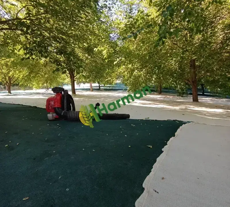 Tescilli ulukale dutu
