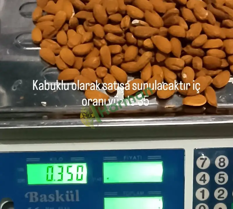 Toptan kabuklu badem