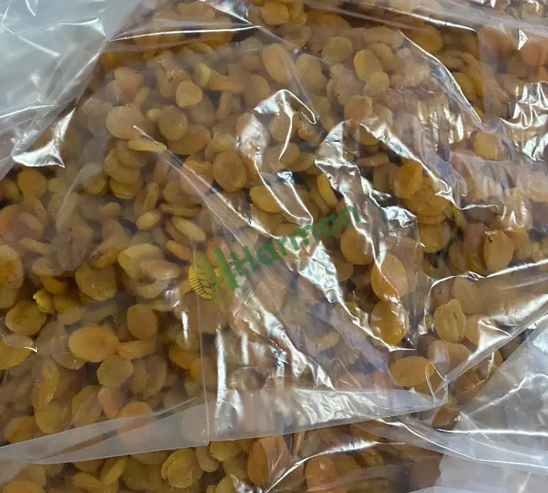 Kayısı Diğer hal fiyatı