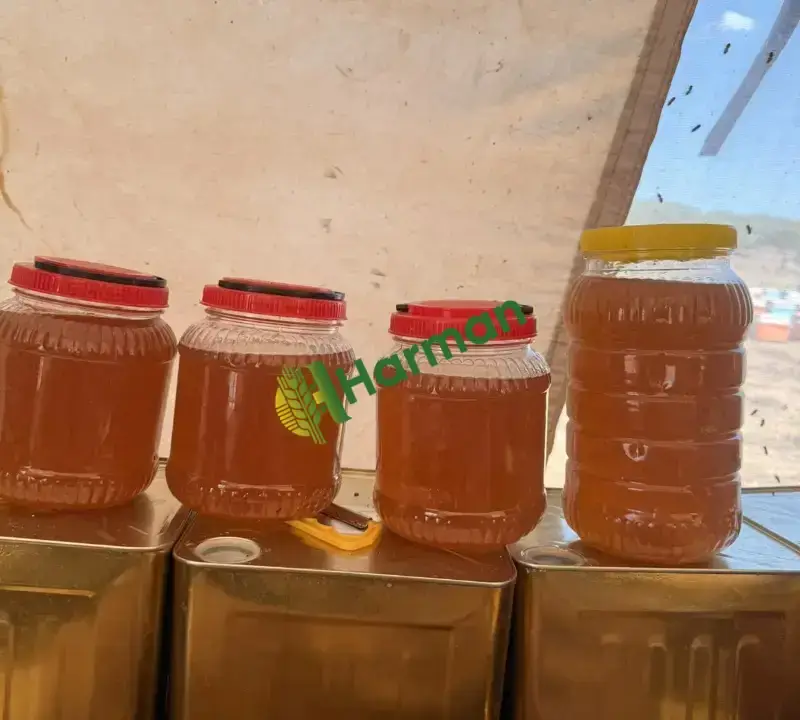 Toptan veya kilo bal satımı SİVEREK