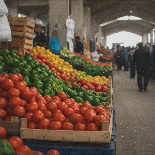 Samsun Ladik'te toptancı hal satışı yapacak alanı
