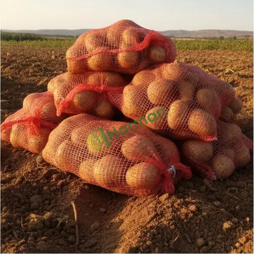 Tunceli Pülümür'de patates satılık