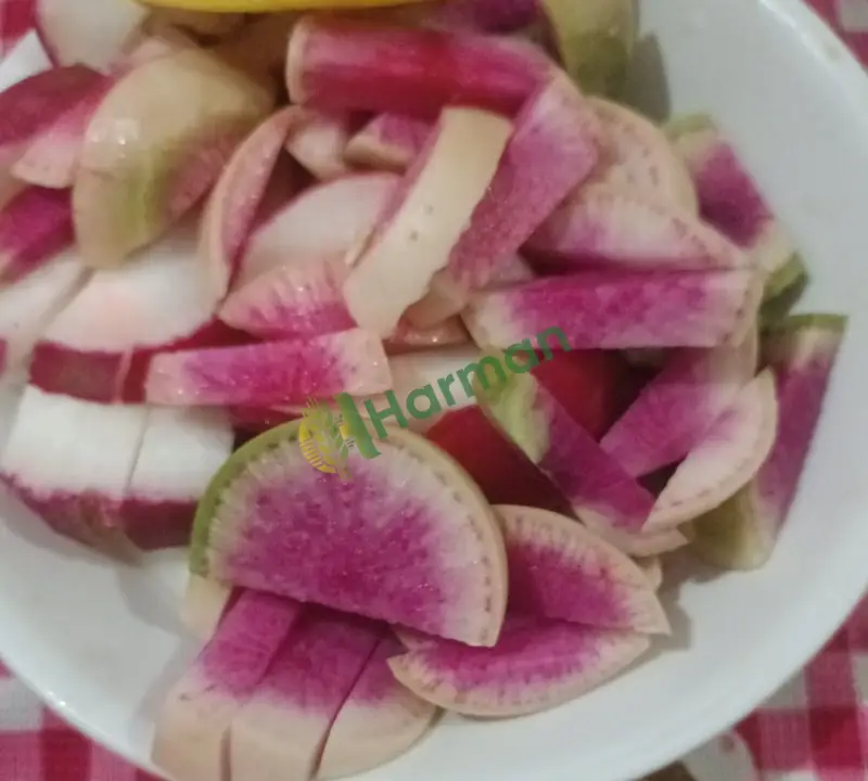 Turp