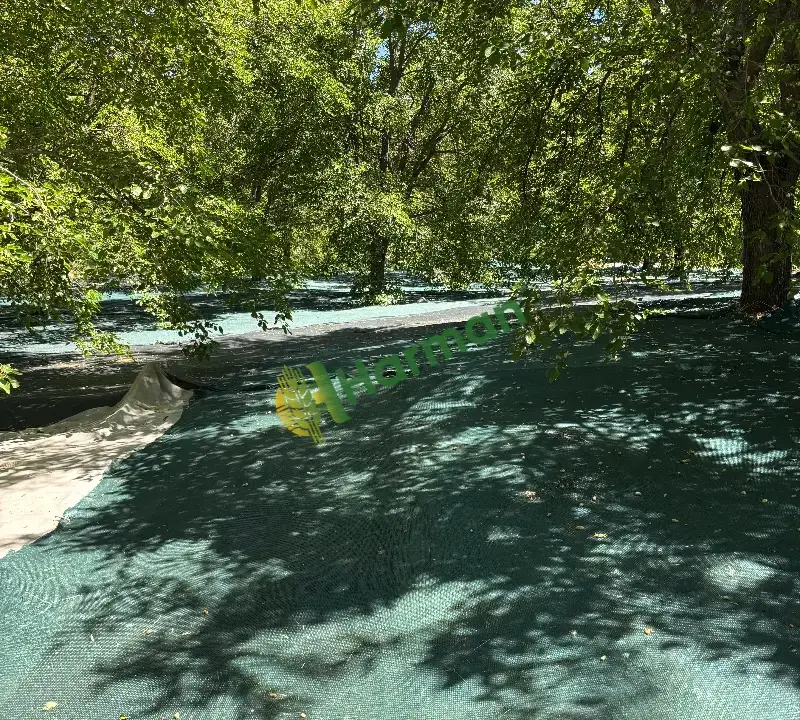 ULUKALE DUTU