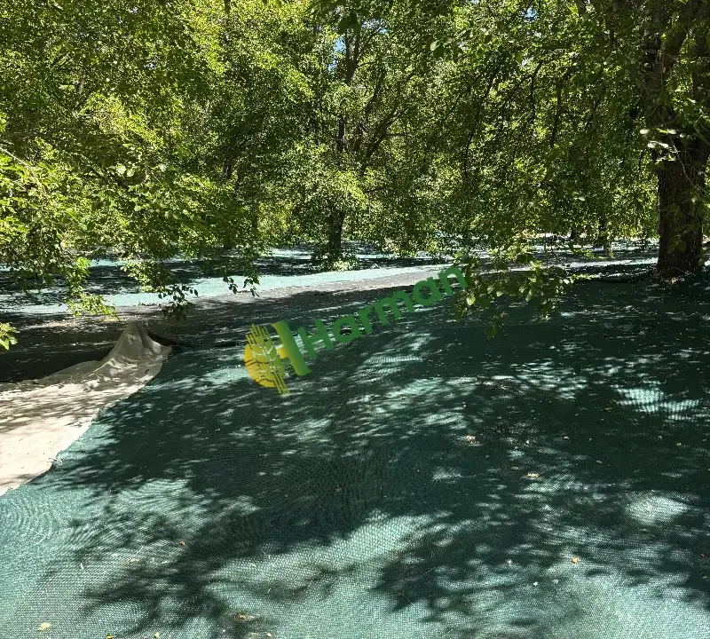 ULUKALE DUTU