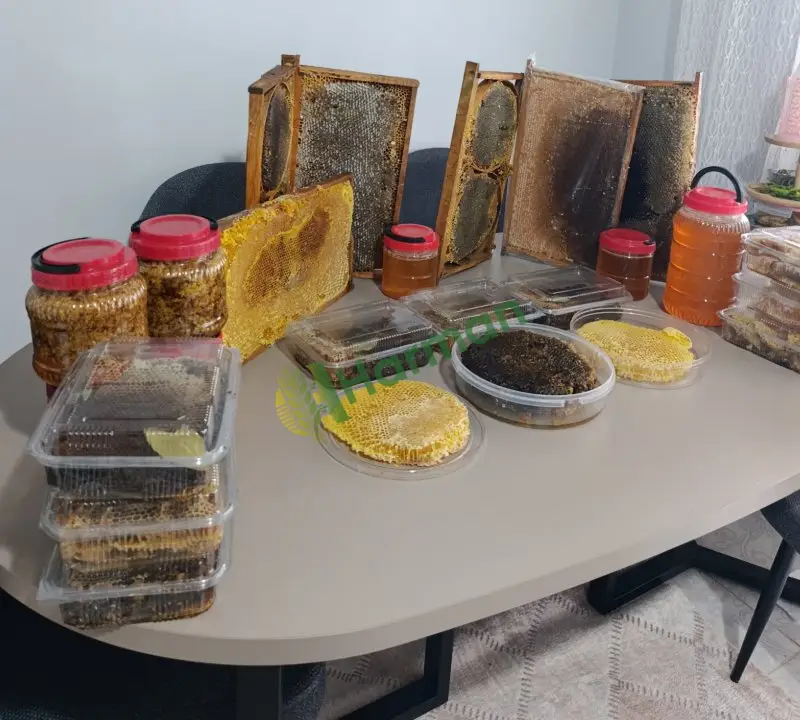 🐝 Üreticiden Katkısız Doğal Dağ Balı – %100 Arı Üretimi 🍯
