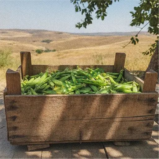 Uşak Ulubey bezelye alınır