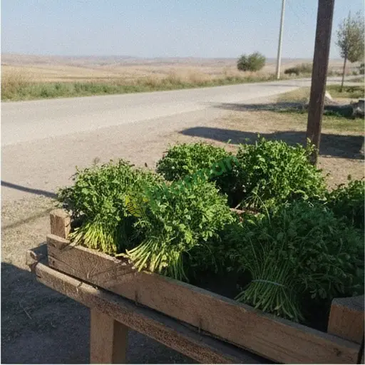 Tere alınacak - Uşak Merkez