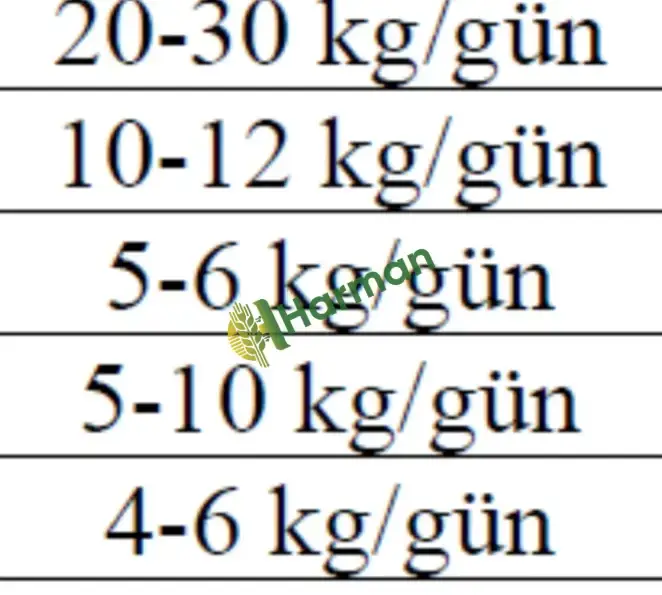 vakumlu,pıresli,bol taneli sılaj