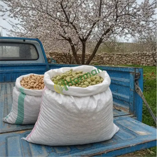 Van Özalp'te badem yerinden alınır