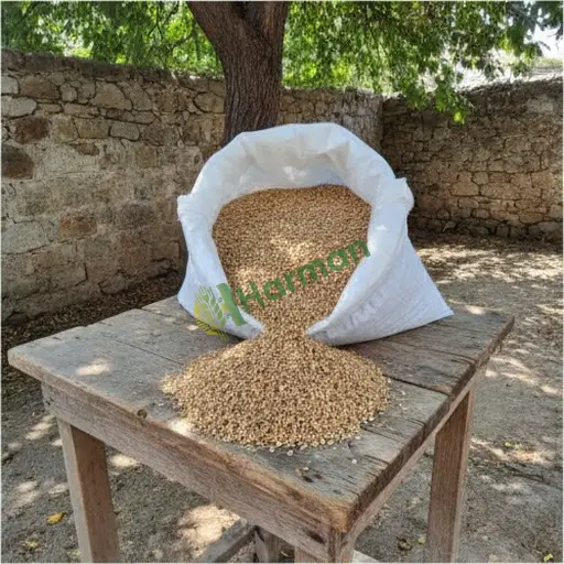 Van Bahçesaray burçak alıcısıyım