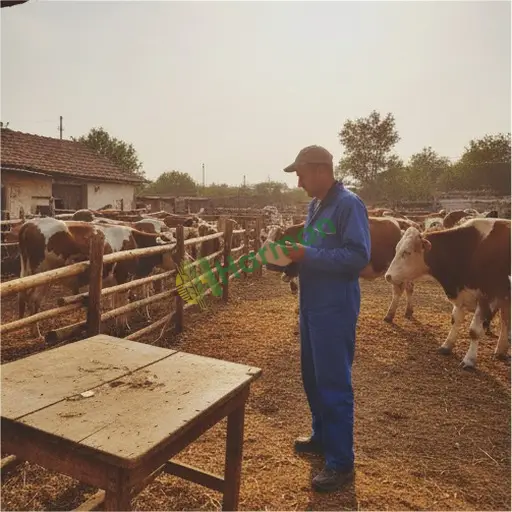 Şırnak Merkez · Aranan Veteriner Sağlık Belgesi Hizmeti