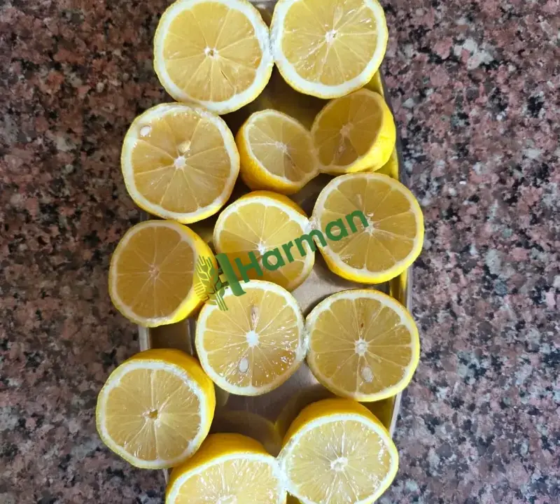Yatak limon