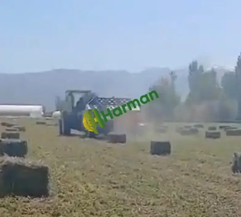 Yeni kesilecek 250 adet SATILIK YONCA BALYASI