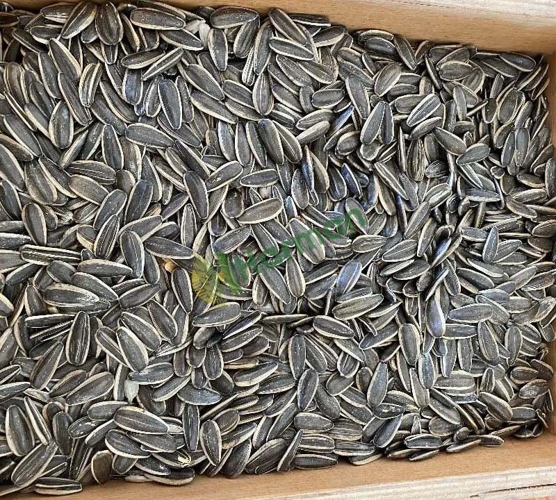 Yeni mahsul Çerezlik 190’adetli cekirdek