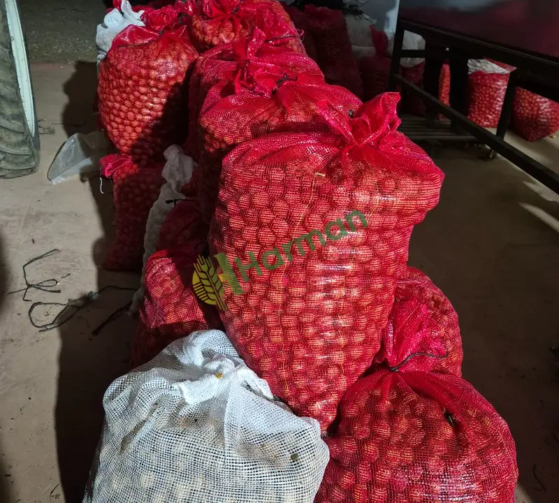 Yeni Mahsul Yerli Chantlar Ceviz Tam Kuru Satılık - 4
