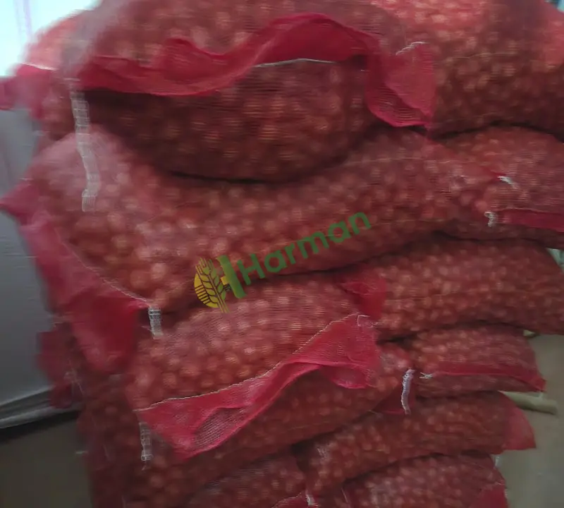 Yeni Mahsul Yerli Chantlar Ceviz Tam Kuru Satılık - 5