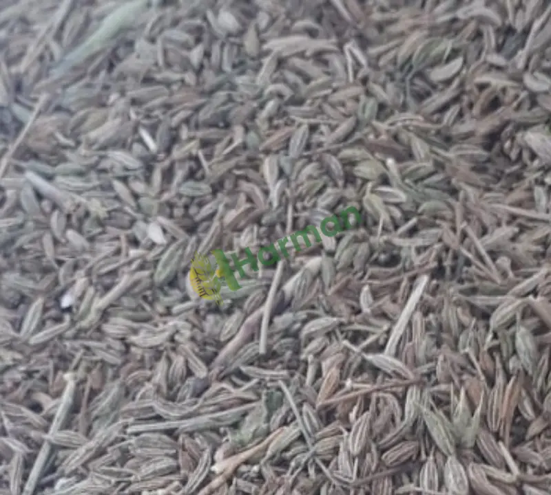 Yeni mahsül yerli kimyon kayseri