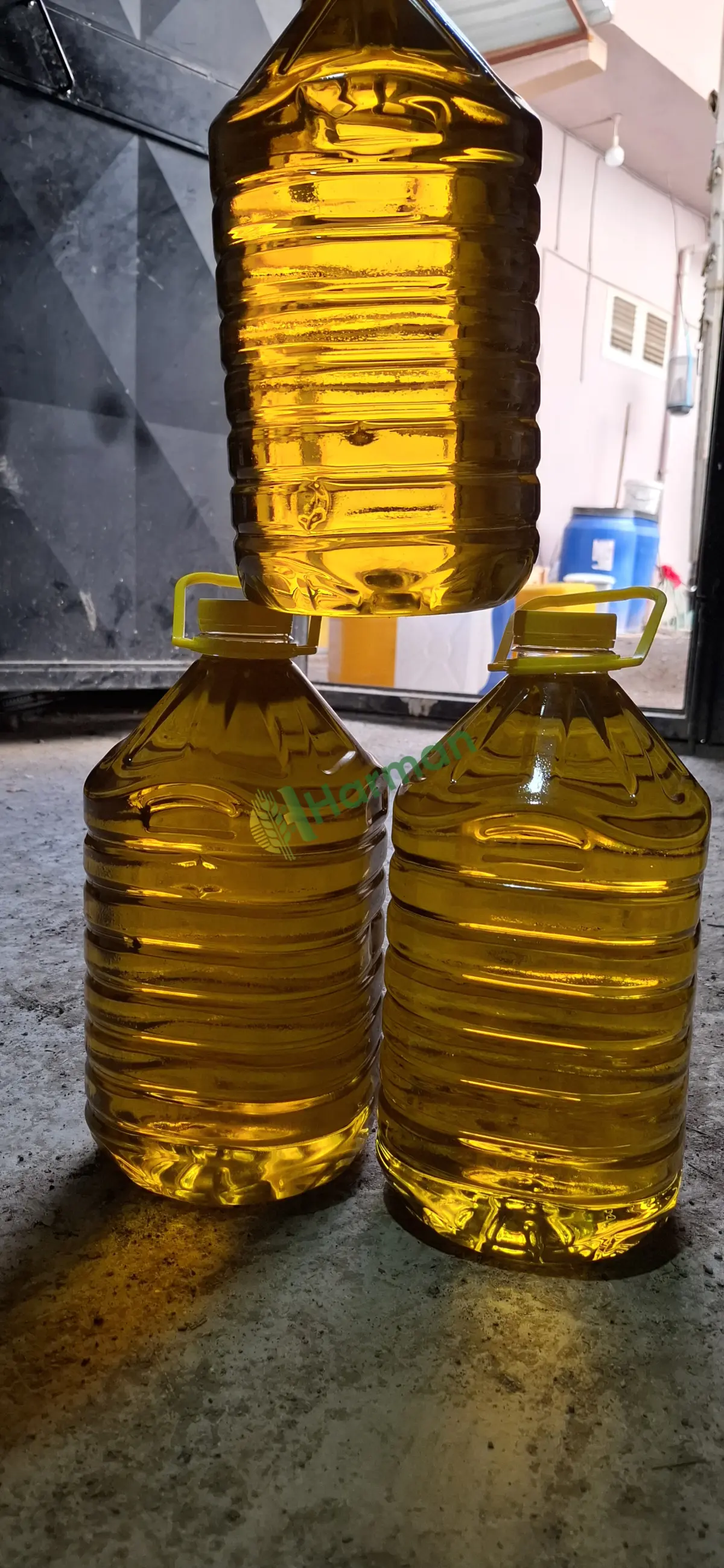Yeni sezon zeytinyağı
