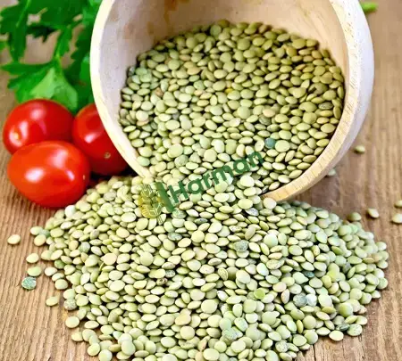 Yeşil mercimek