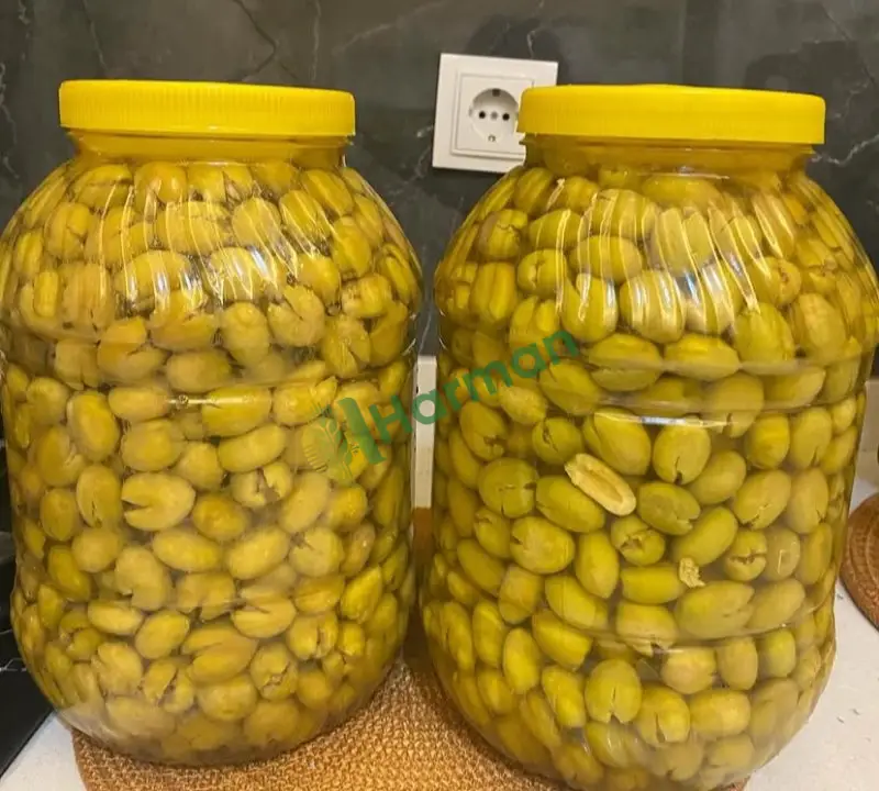 Yeşil salamura zeytin tamamı el emeği
