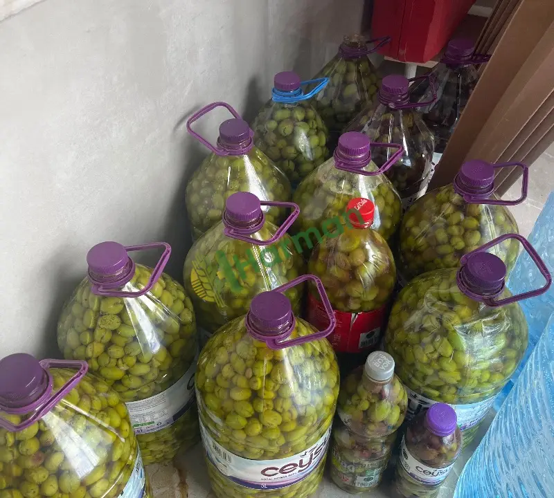 Yeşil ve siyah zeytin