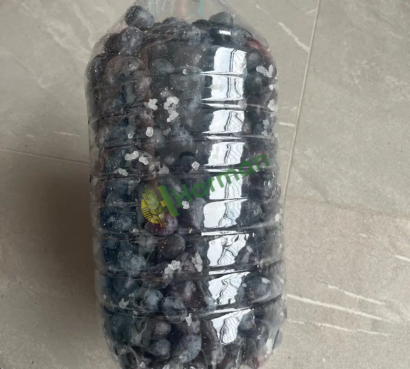 Yeşil ve siyah zeytin
