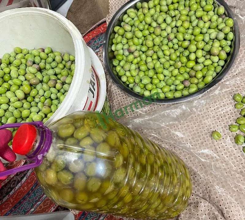 Yeşil ve siyah zeytin