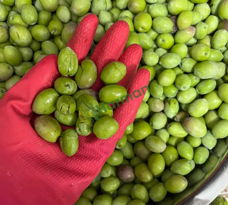 Yeşil ve siyah zeytin