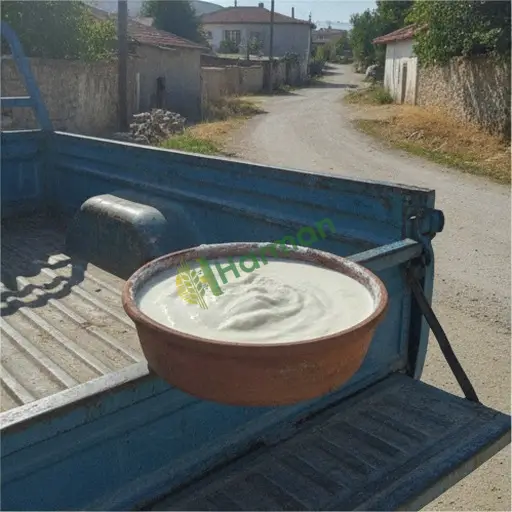 Ardahan Çıldır inek yoğurdu alıcısıyım
