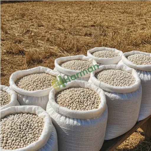 Yozgat'ta kuru fasulye toptan alınır