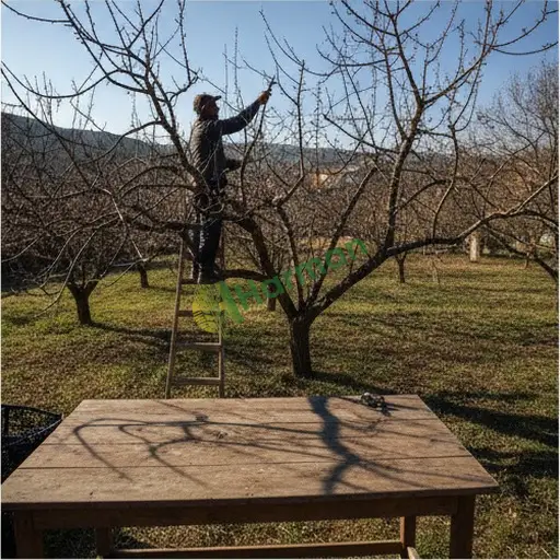Yozgat Şefaatli'den budama hizmeti satılıkum