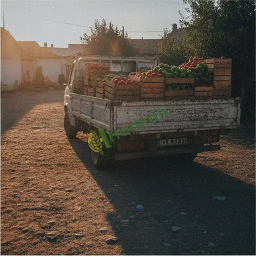 Yozgat Çekerek'te meyve sebze nakliyesi satılık