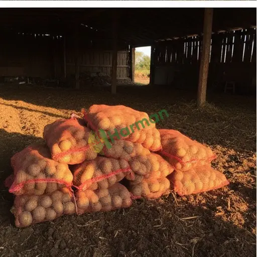Yozgat Aranan Patates (Çekerek)